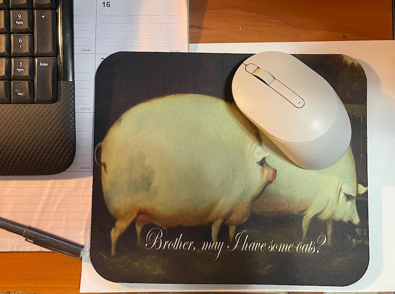 ¿El hermano querría un poco de - Gaming Accessories To Have reseña y precio